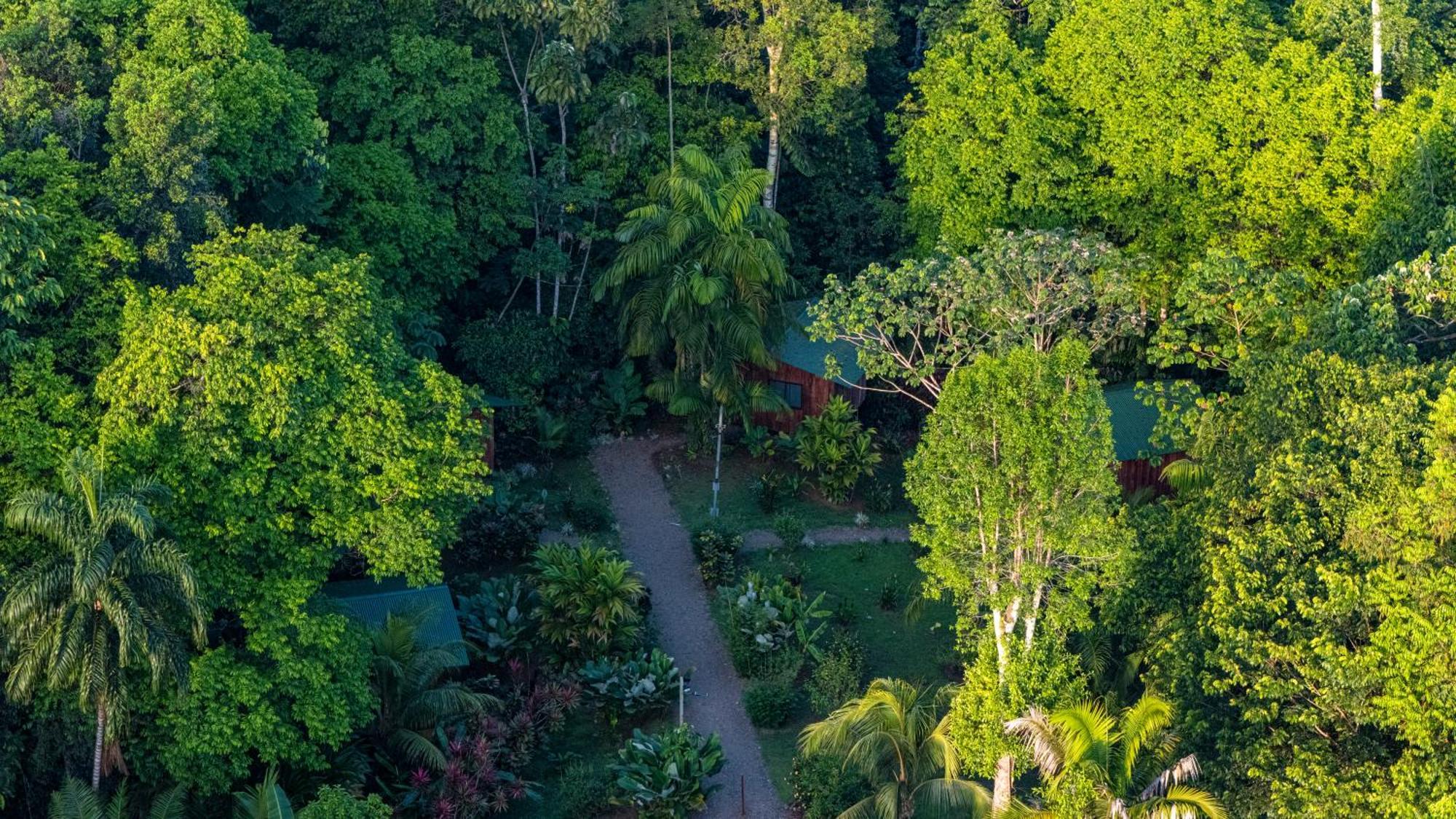 Citronela Lodge Corcovado Drakes Bay Exterior foto