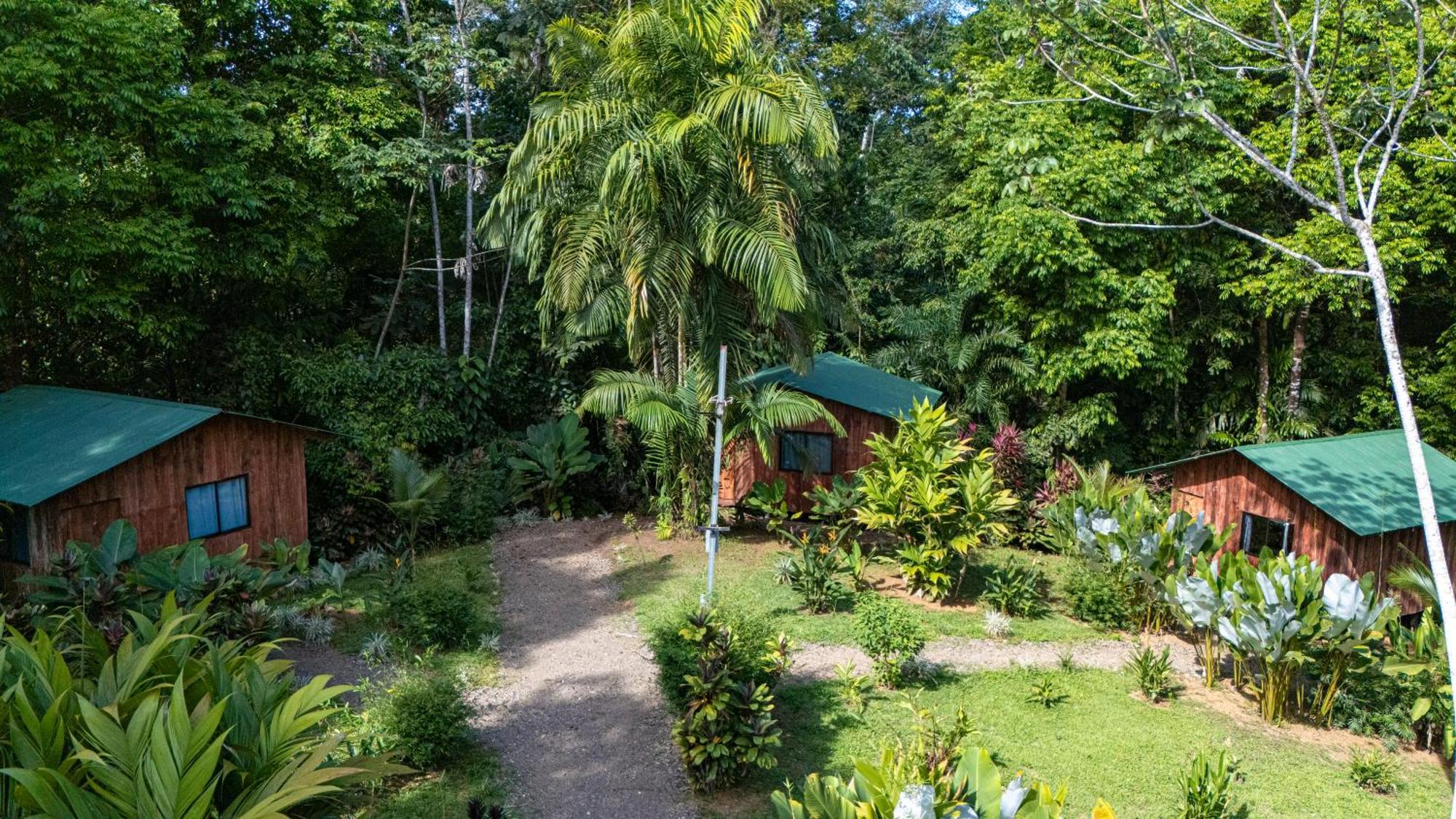 Citronela Lodge Corcovado Drakes Bay Exterior foto