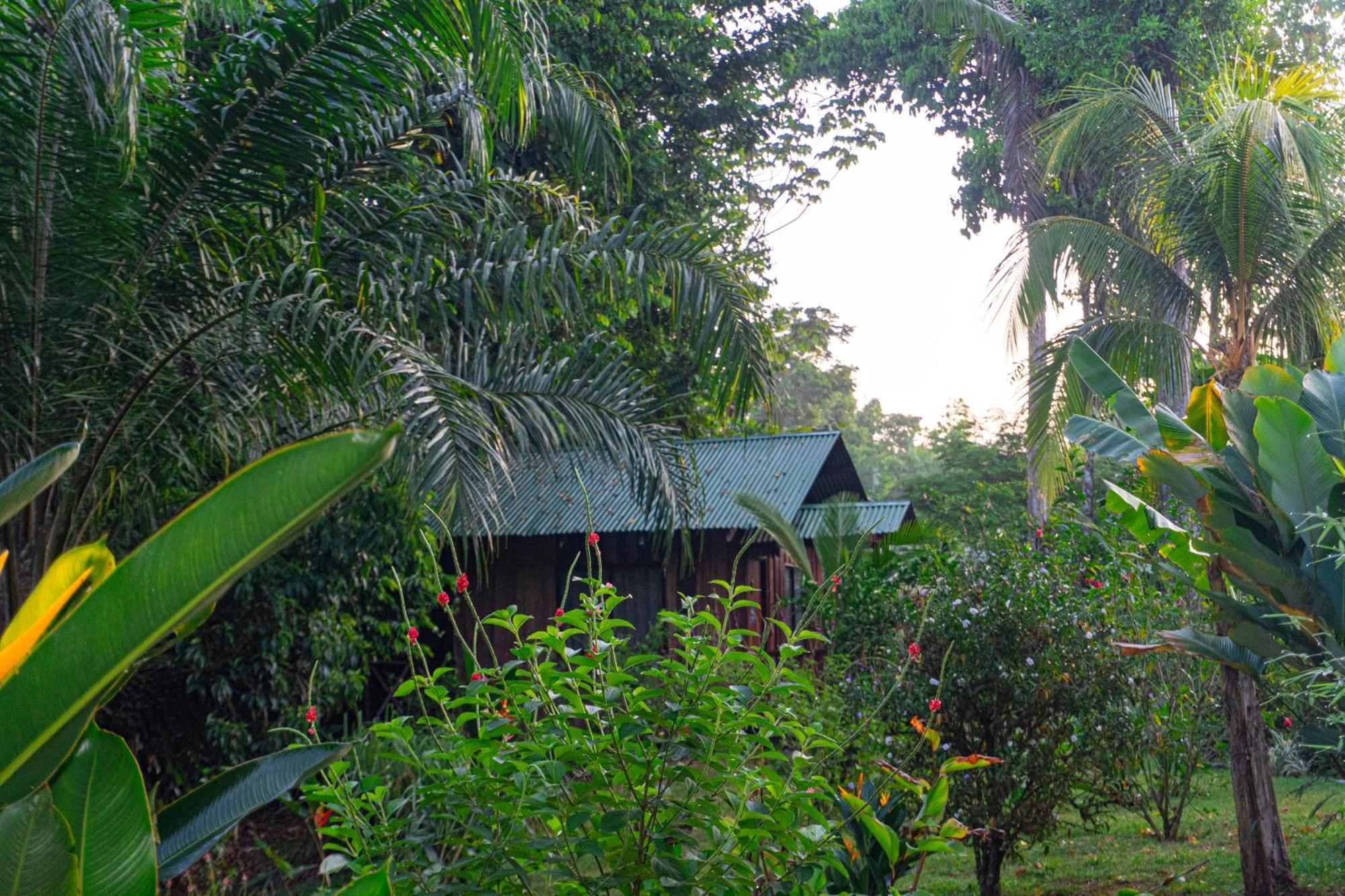 Citronela Lodge Corcovado Drakes Bay Exterior foto