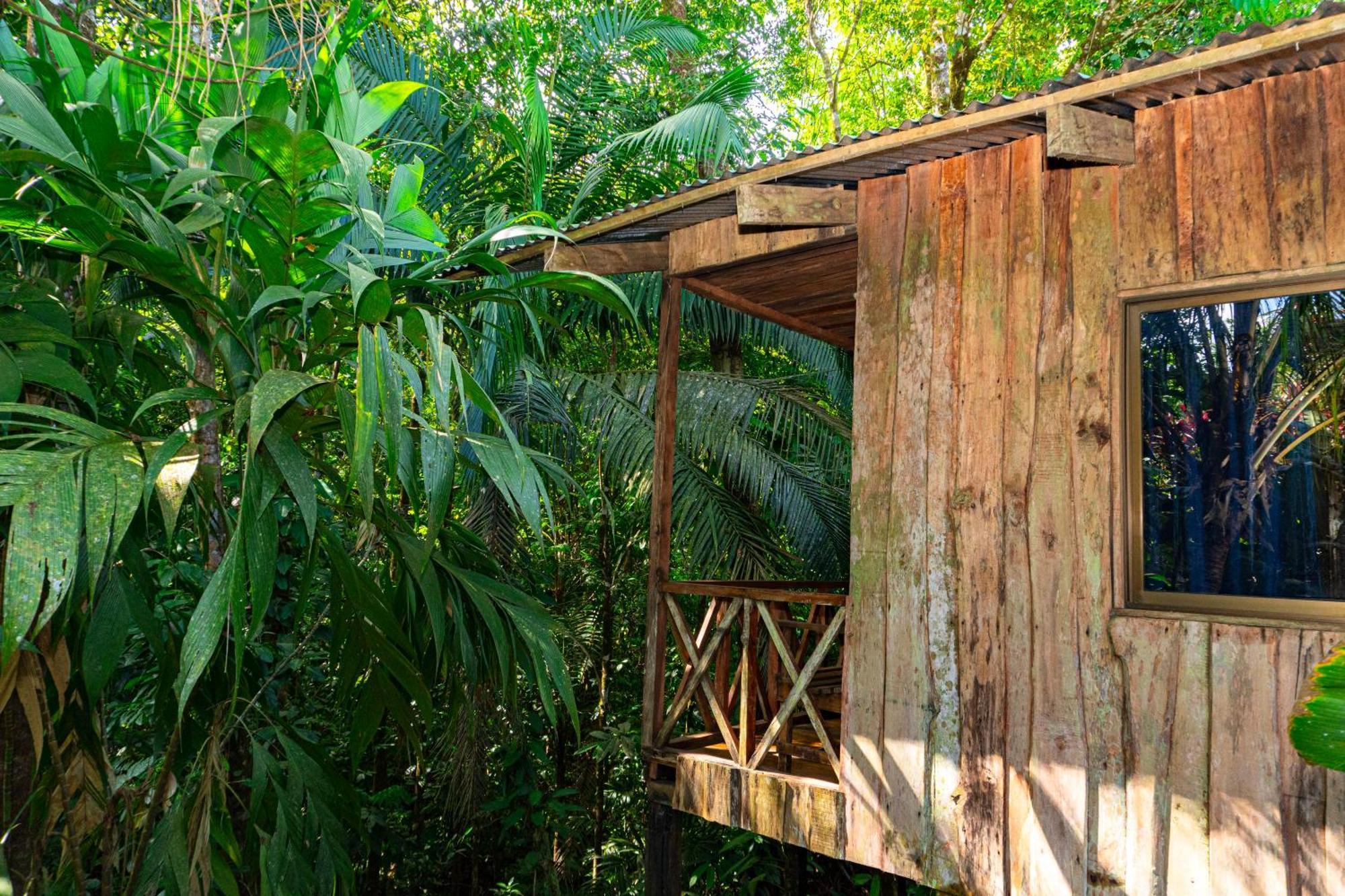 Citronela Lodge Corcovado Drakes Bay Exterior foto